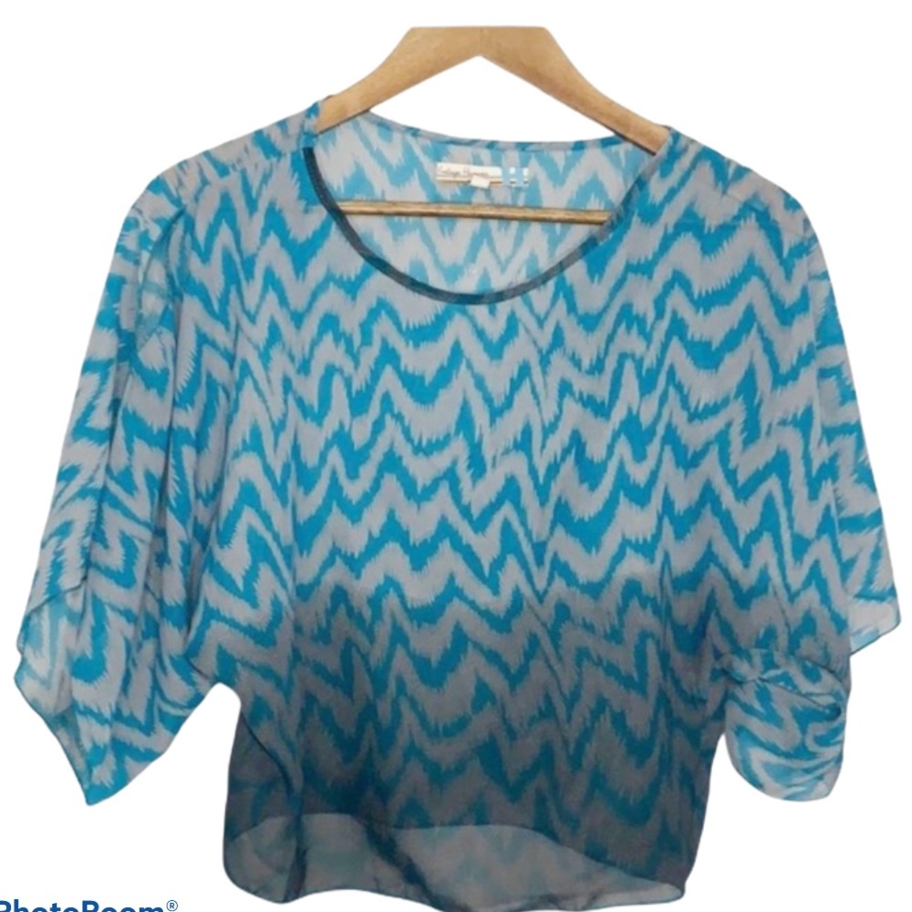 Vintage Havana Sheer Chevron Cropped Top Sz M